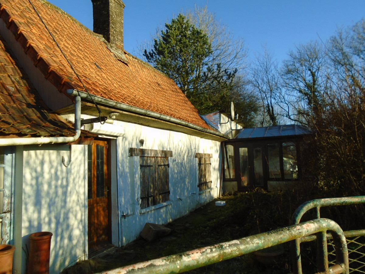 DSC06967