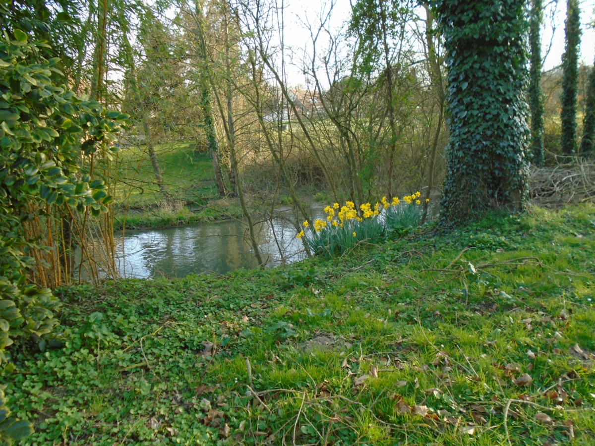 DSC07237